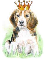 Сказка на ночь про собаку Баронессу. Читать и слушать Сказка на ночь про собаку Баронессу. Читать и слушать