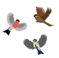 Сказка на ночь «Загадочная птица». Читать и слушать Сказка на ночь «Загадочная птица». Читать и слушать