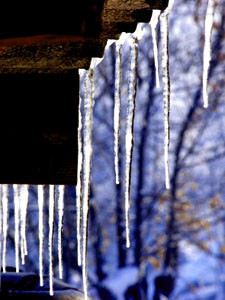 Рассказ "Весенняя капель" Рассказ "Весенняя капель"